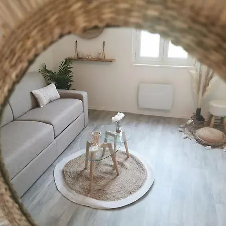 Le Bohemien *studio 30m²*wifi*parking Prive*calme Апартаменты Лурд